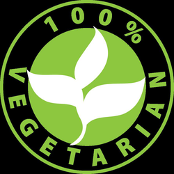 8 stuks vegetarische Dragon Roll